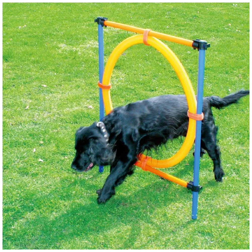 Dog Jump Ring Activity Ring Adjustable for Training and Healthy Life of Pets