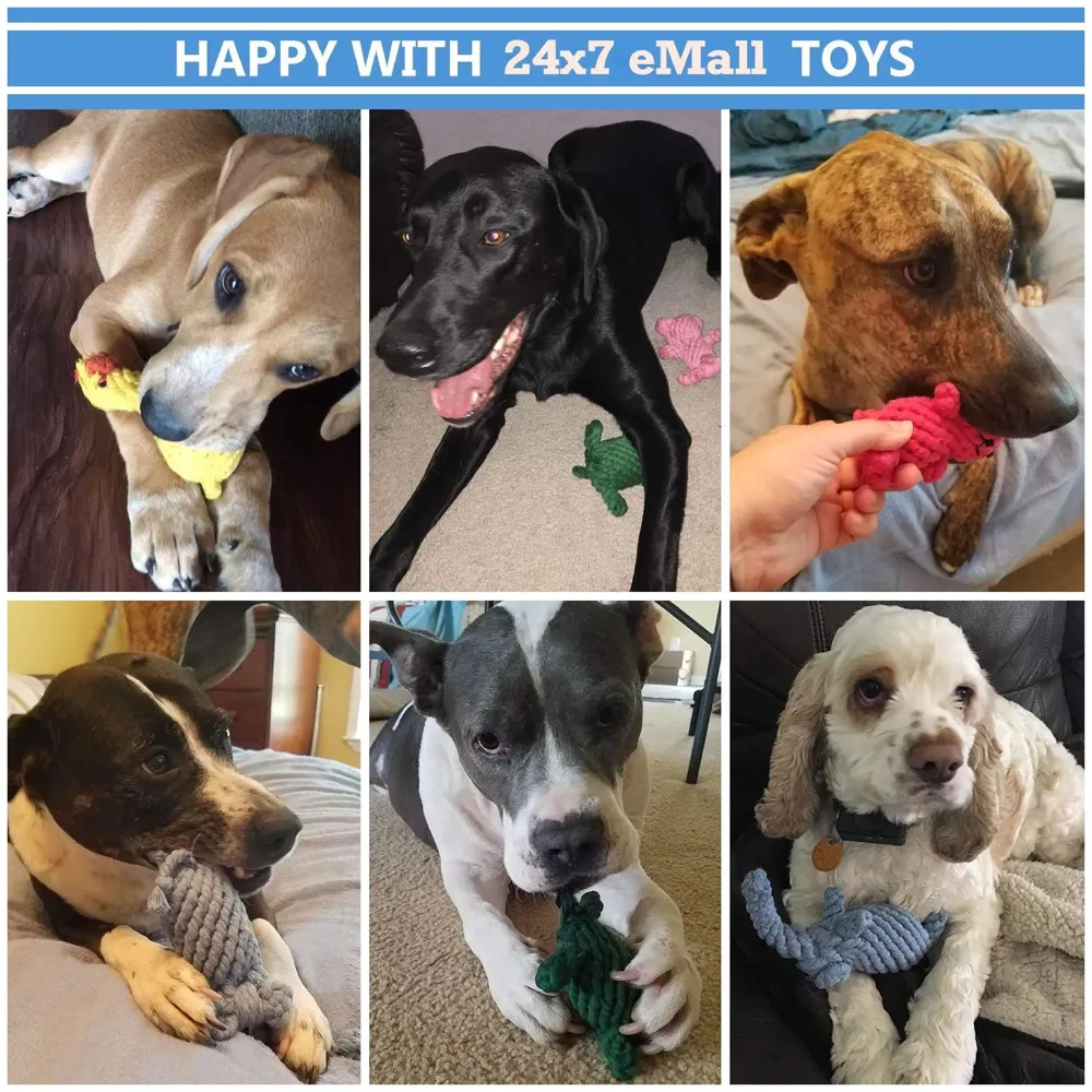 Dog Rope Toy Set Puppy Pet Chew Training Animal Design Durable Interactive Toys Dental Health Teeth Cleaning Toy for Small Medium Dog Biting Toys (Bear)