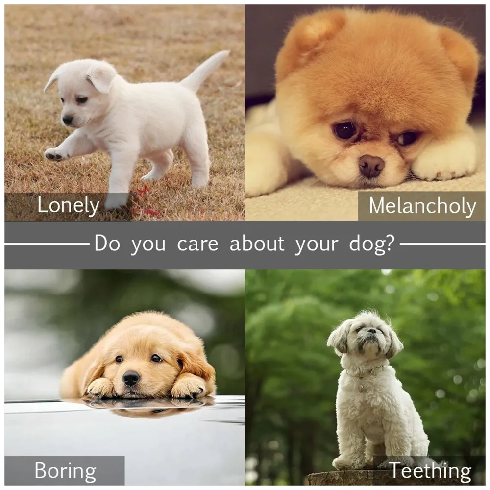 Dog Rope Toy Set Puppy Pet Chew Training Animal Design Durable Interactive Toys Dental Health Teeth Cleaning Toy for Small Medium Dog Biting Toys (Bear)