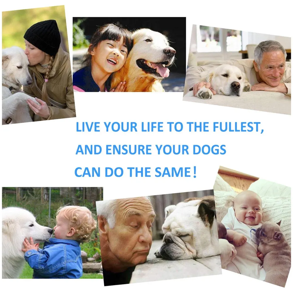 Dog Rope Toy Set Puppy Pet Chew Training Animal Design Durable Interactive Toys Dental Health Teeth Cleaning Toy for Small Medium Dog Biting Toys (Turtle)