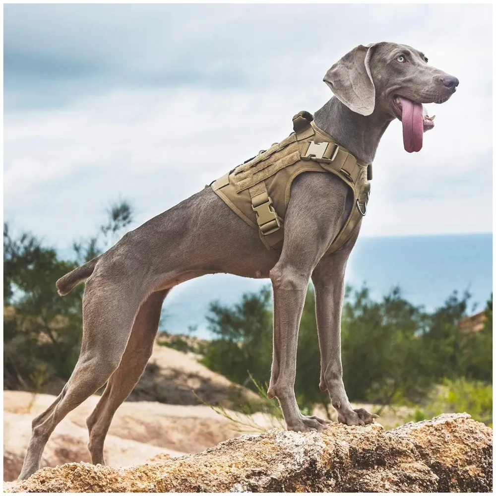 Tactical Dog Harness Nylon Breathable Adjustable Reflective Easy Control Comfortable Harness. Large 18-30 Inch Girth - 2
