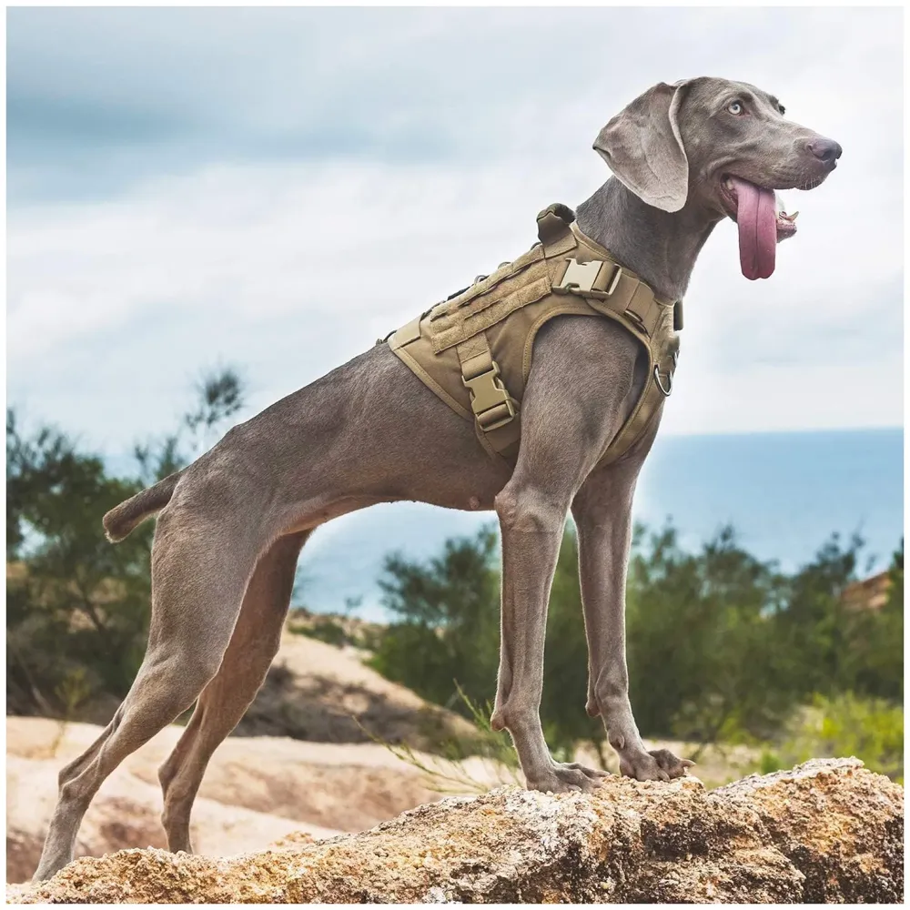 Tactical Dog Harness Nylon Breathable Adjustable Reflective Easy Control Comfortable Harness. Large 18-30 Inch Girth
