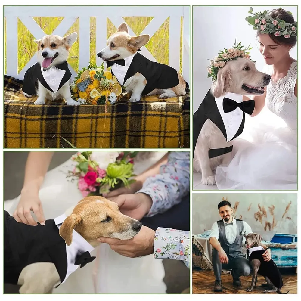 Dog Tuxedo & Bandana Set, Party Suit, Wedding Bow Tie Shirt Formal Wedding Attire for Large & Medium (Medium) - 8
