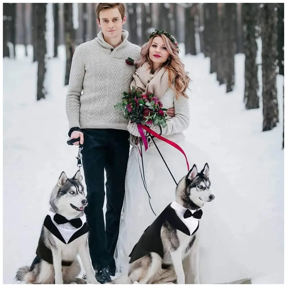 Dog Tuxedo & Bandana Set, Party Suit, Wedding Bow Tie Shirt Formal Wedding Attire for Large & Medium (Medium) - 4
