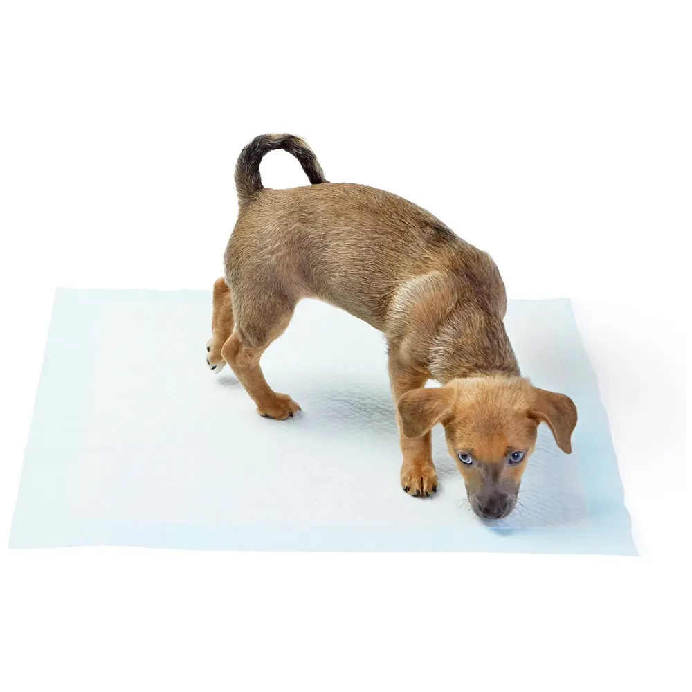 50 Pcs Puppy Training Pad ~ Pee Pads Potty Training 45 X 60 CMS, 50 pc Packing