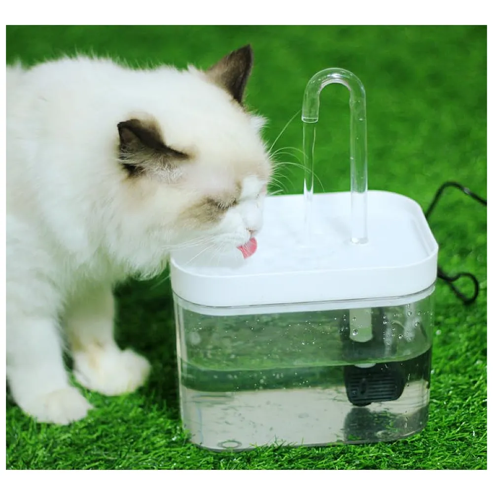 Pet Fountain Automatic Pet Water Fountain for Constant Filtration and Runnning Water for Cats and Dogs Transparent Small Premium