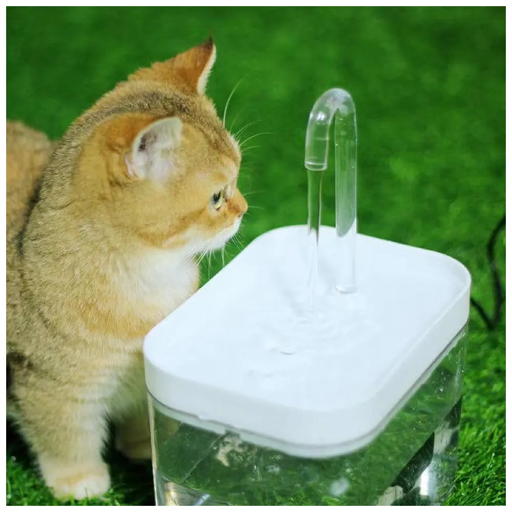 Pet Fountain Automatic Pet Water Fountain for Constant Filtration and Runnning Water for Cats and Dogs Transparent Small Premium