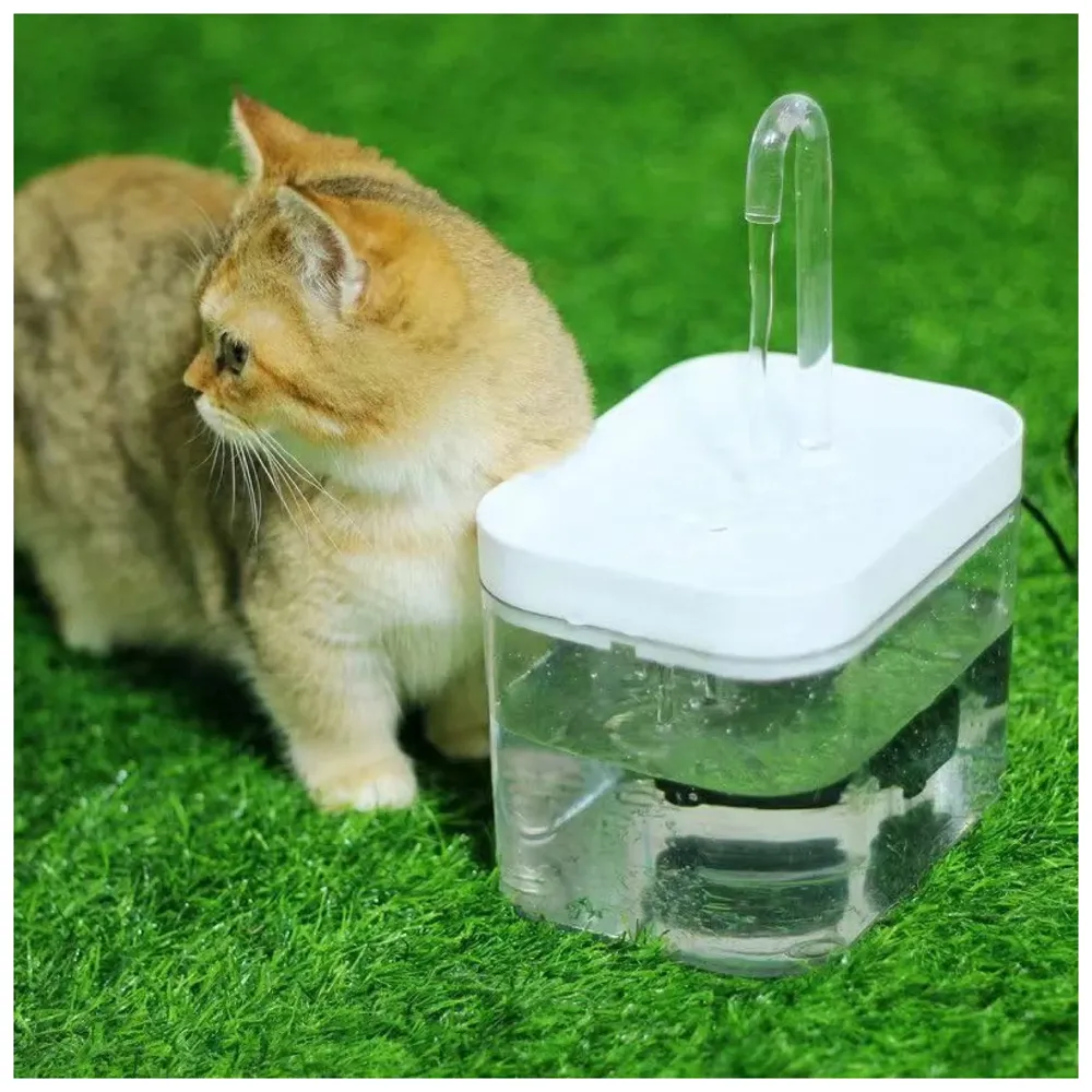 Pet Fountain Automatic Pet Water Fountain for Constant Filtration and Runnning Water for Cats and Dogs Transparent Small - 2