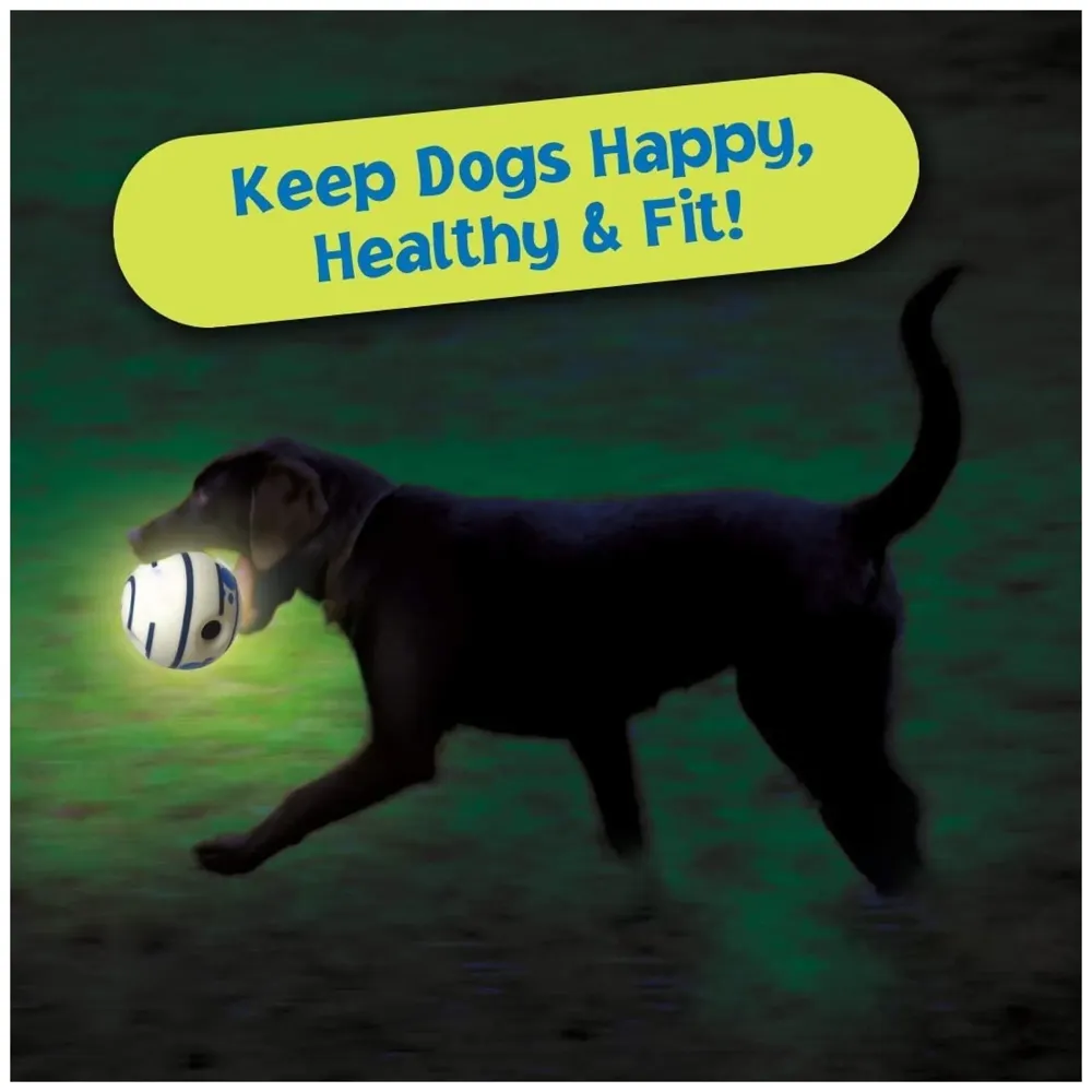 Glow Funny Sound Ball Interactive Dog Toy, Fun Sounds When Rolled or Shaken Funny Sound Ball Laughing Ball for Medium Large Pet Dogs, 5.5 Inch - 6