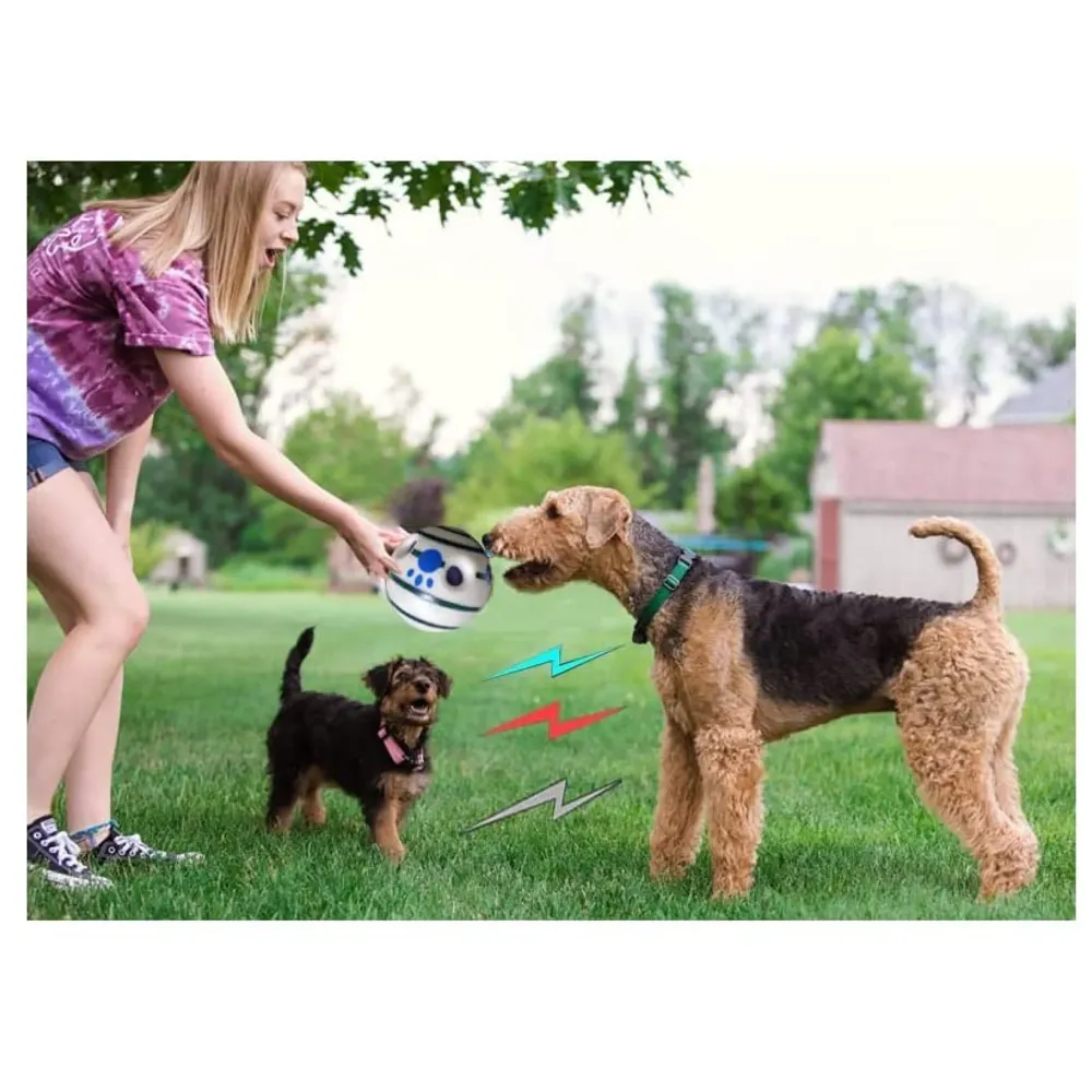 Glow Funny Sound Ball Interactive Dog Toy, Fun Sounds When Rolled or Shaken Funny Sound Ball Laughing Ball for Medium Large Pet Dogs, 5.5 Inch - 9