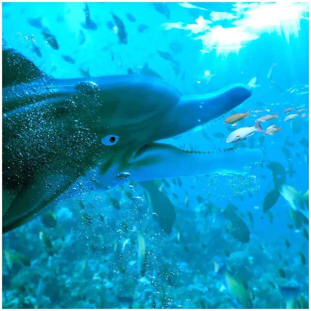 Rubber Hand Puppets Jungle Animal Friends with Working Mouth for Imaginative Play, Storytelling, Teaching, Preschool & Role-Play. (Dolphin)