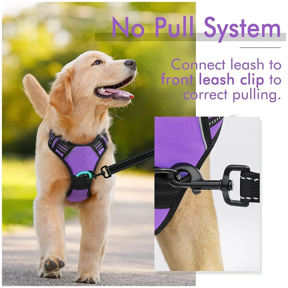 Vest Dog Harness Vest Breathable Adjustable Dog Body Belt No Pulling No Chock Oxford Fabric for Labradors, Golden Retriever, German Shepherd, Purple (Large Size)
