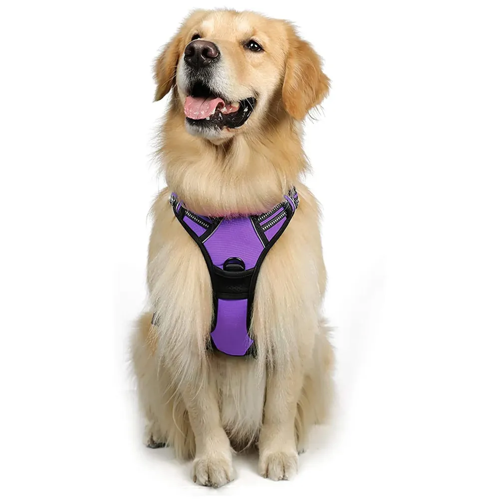 Vest Dog Harness Vest Breathable Adjustable Dog Body Belt No Pulling No Chock Oxford Fabric for Labradors, Golden Retriever, German Shepherd, Purple (Large Size)