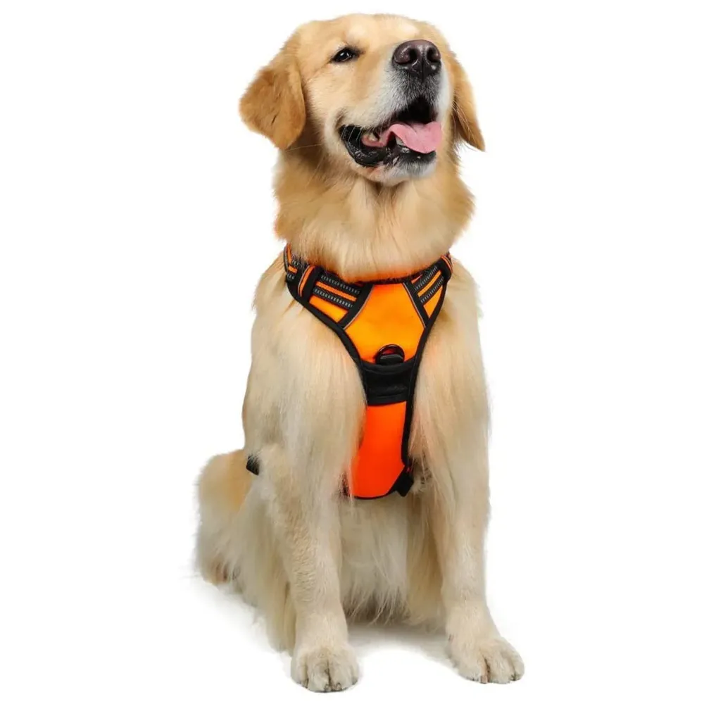 Vest Dog Harness Vest Breathable Adjustable Dog Body Belt No Pulling No Chock Oxford Fabric for Labradors, Golden Retriever, German Shepherd, Orange (Large Size)