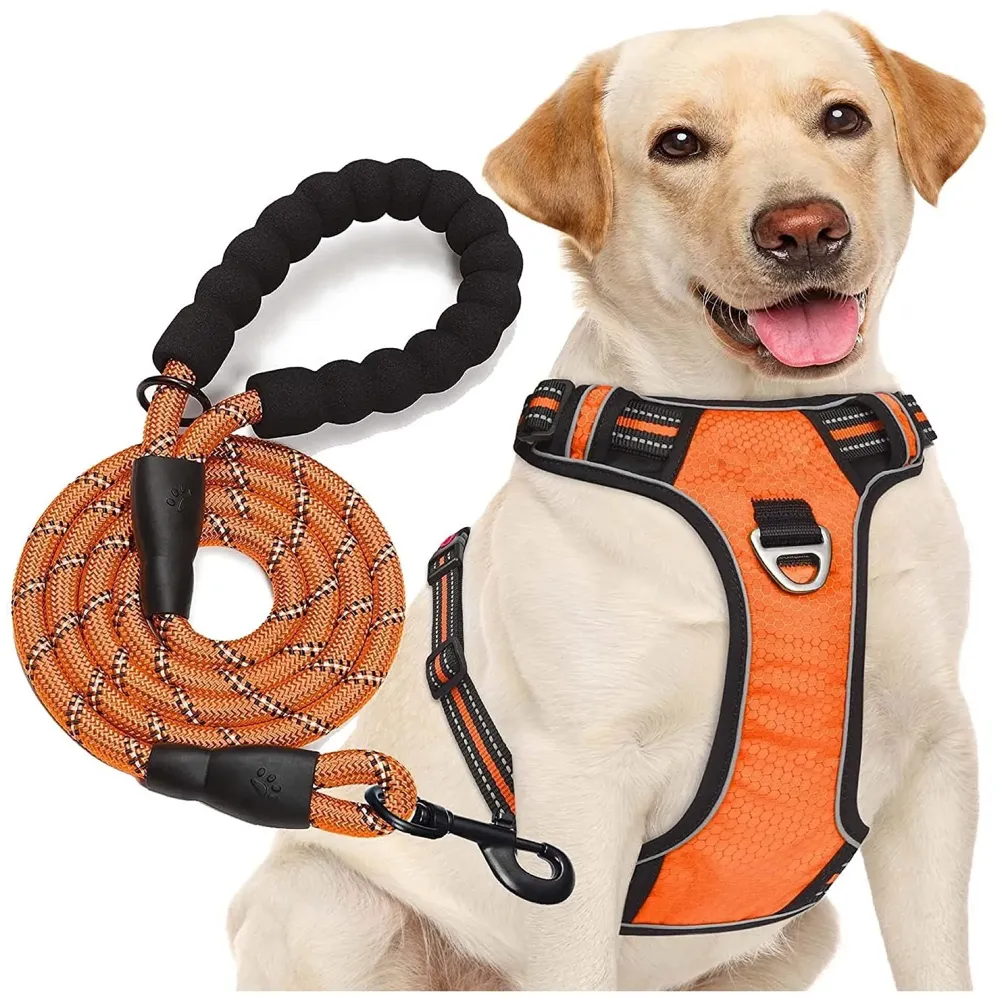 Vest Dog Harness Combo Vest and Leash Breathable Adjustable Dog Body Belt No Pulling No Chock Oxford Fabric for Labradors, Golden Retriever, German Shepherd, Orange (Large - 25.5-31 Inch)