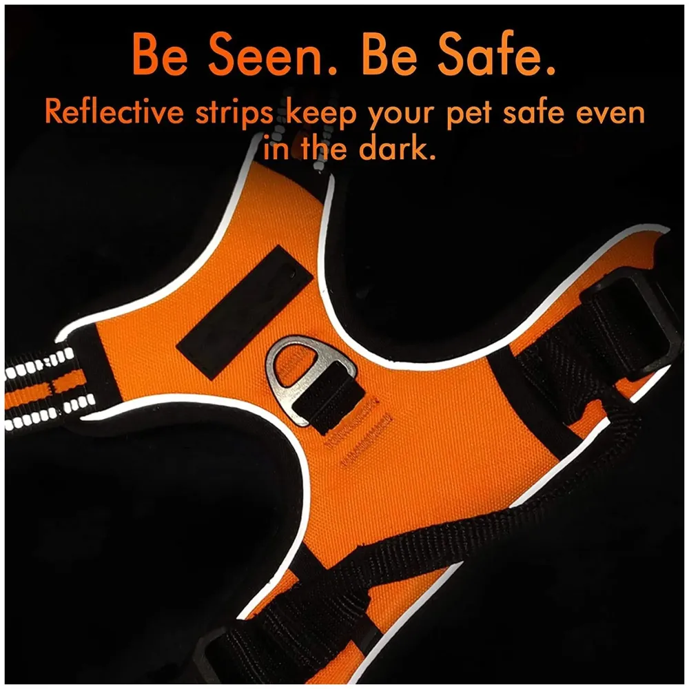 Vest Dog Harness Combo Vest and Leash Breathable Adjustable Dog Body Belt No Pulling No Chock Oxford Fabric for Labradors, Golden Retriever, German Shepherd, Orange (Large - 25.5-31 Inch)