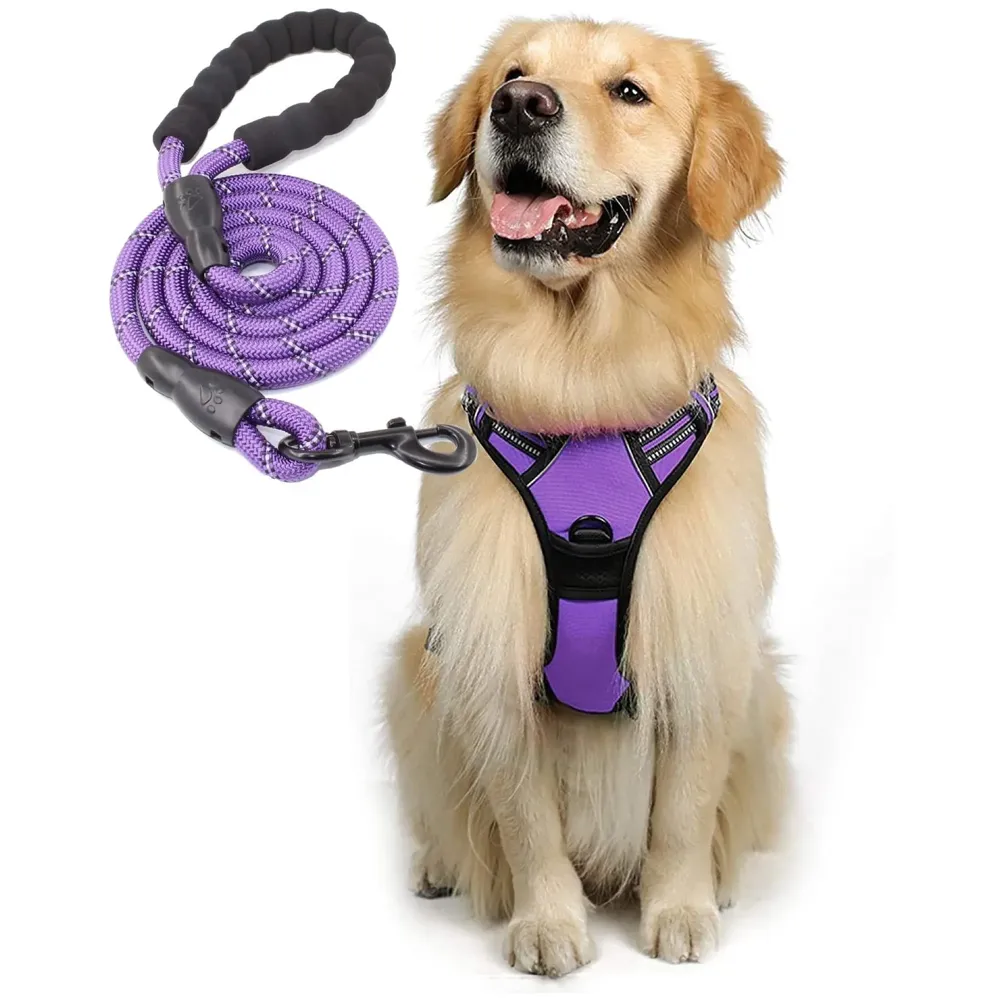 Harness and Leash Purple No Pull Dog Harness Mesh Breathable Adjustable Reflective Oxford Easy Control Comfortable Harness. Large 18-26 Inch Girth
