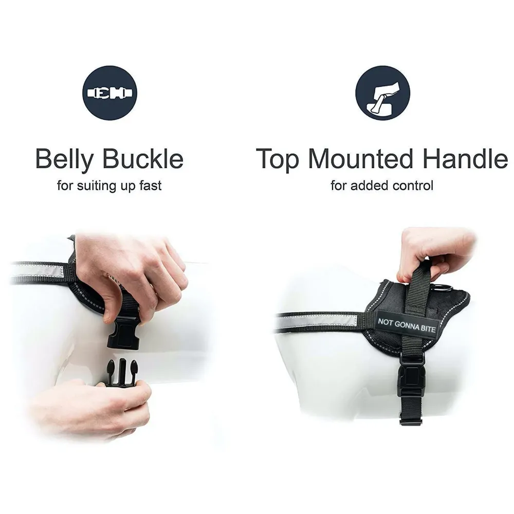 Dog Harness Dog Not Gonna Bite Vest Loop Straps and Handle and Adjustable (XL- 28-38 Inch Girth) - 2