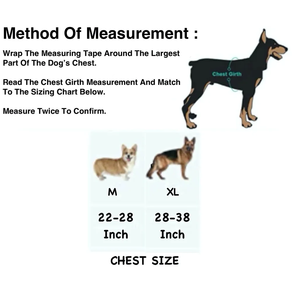 Dog Harness Dog Not Gonna Bite Vest Loop Straps and Handle and Adjustable (XL- 28-38 Inch Girth) - 6