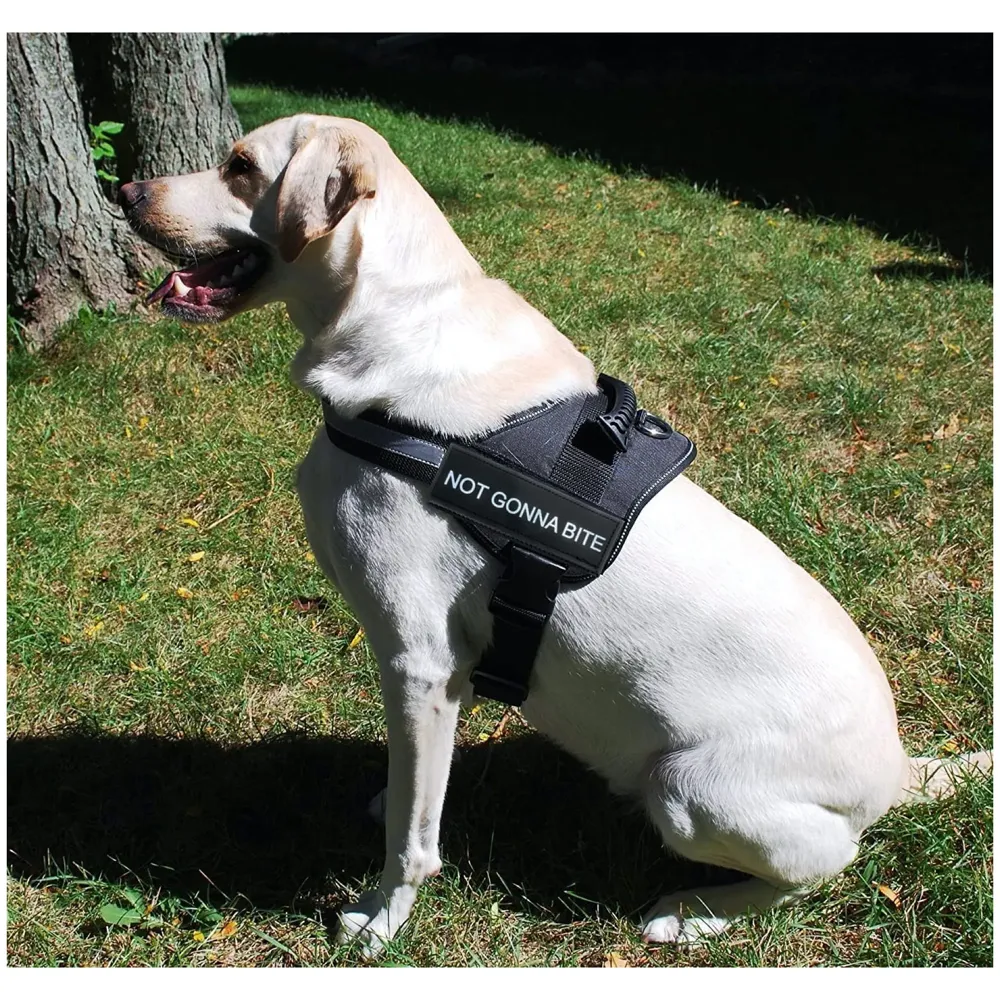 Dog Harness Dog Not Gonna Bite Vest Loop Straps and Handle and Adjustable (XL- 28-38 Inch Girth)