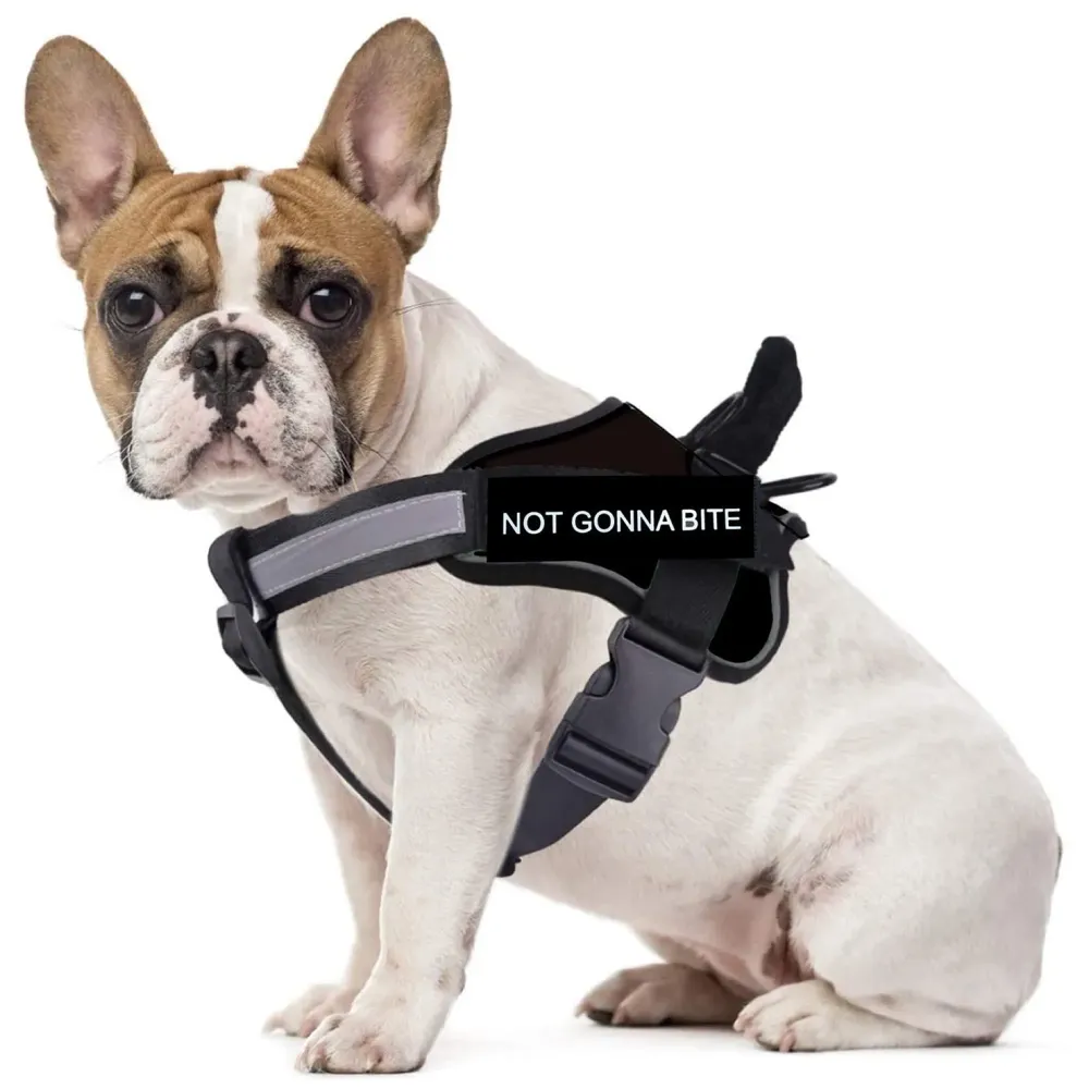 Dog Harness Dog Not Gonna Bite Vest Loop Straps and Handle and Adjustable (Medium 22-28 Inch Girth)