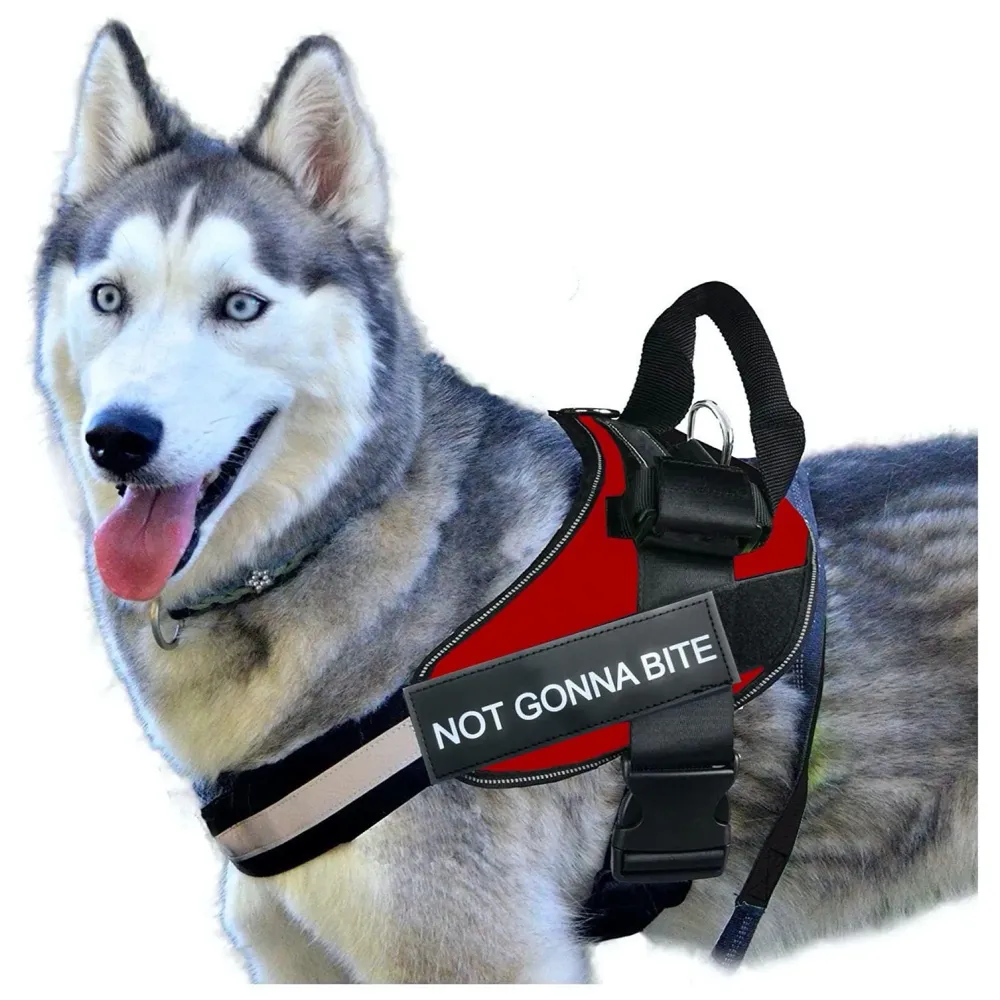 Red Dog Harness Dog Not Gonna Bite Vest Loop Straps and Handle and Adjustable (XL- 28-38 Inch Girth)