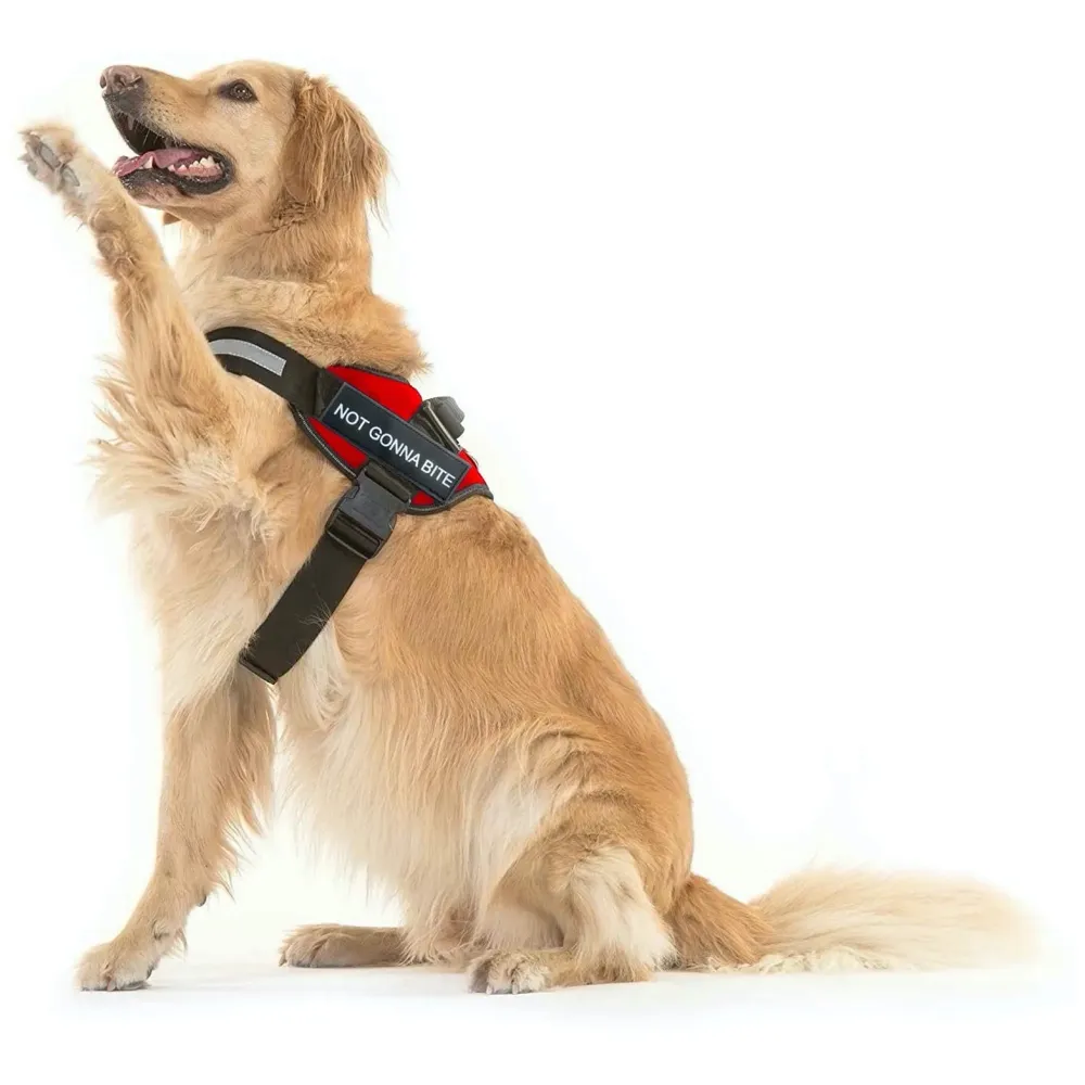 Red Dog Harness Dog Not Gonna Bite Vest Loop Straps and Handle and Adjustable (XL- 28-38 Inch Girth)