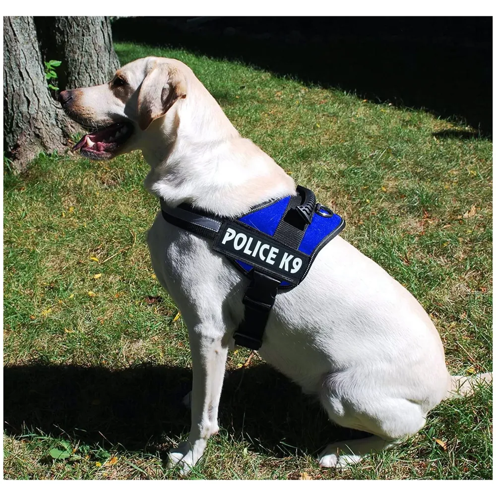 Dog K9 Police Harness Dog Vest Loop Straps and Handle and Adjustable (XL- 28-38 Inch Girth, Blue)