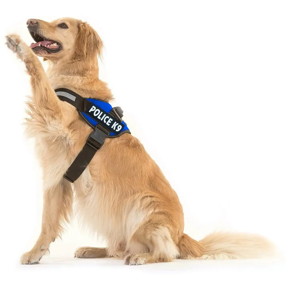 Dog K9 Police Harness Dog Vest Loop Straps and Handle and Adjustable (XL- 28-38 Inch Girth, Blue)