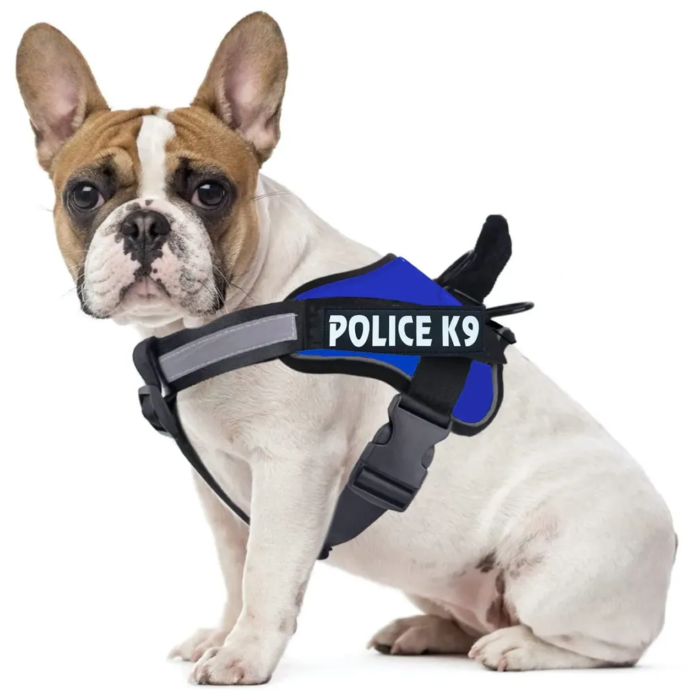 Dog K9 Police Harness Dog Vest Loop Straps and Handle and Adjustable (M- 22-28 Inch Girth, Blue)