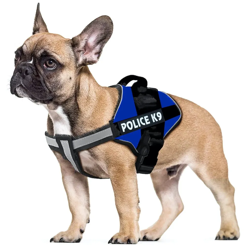 Dog K9 Police Harness Dog Vest Loop Straps and Handle and Adjustable (M- 22-28 Inch Girth, Blue)