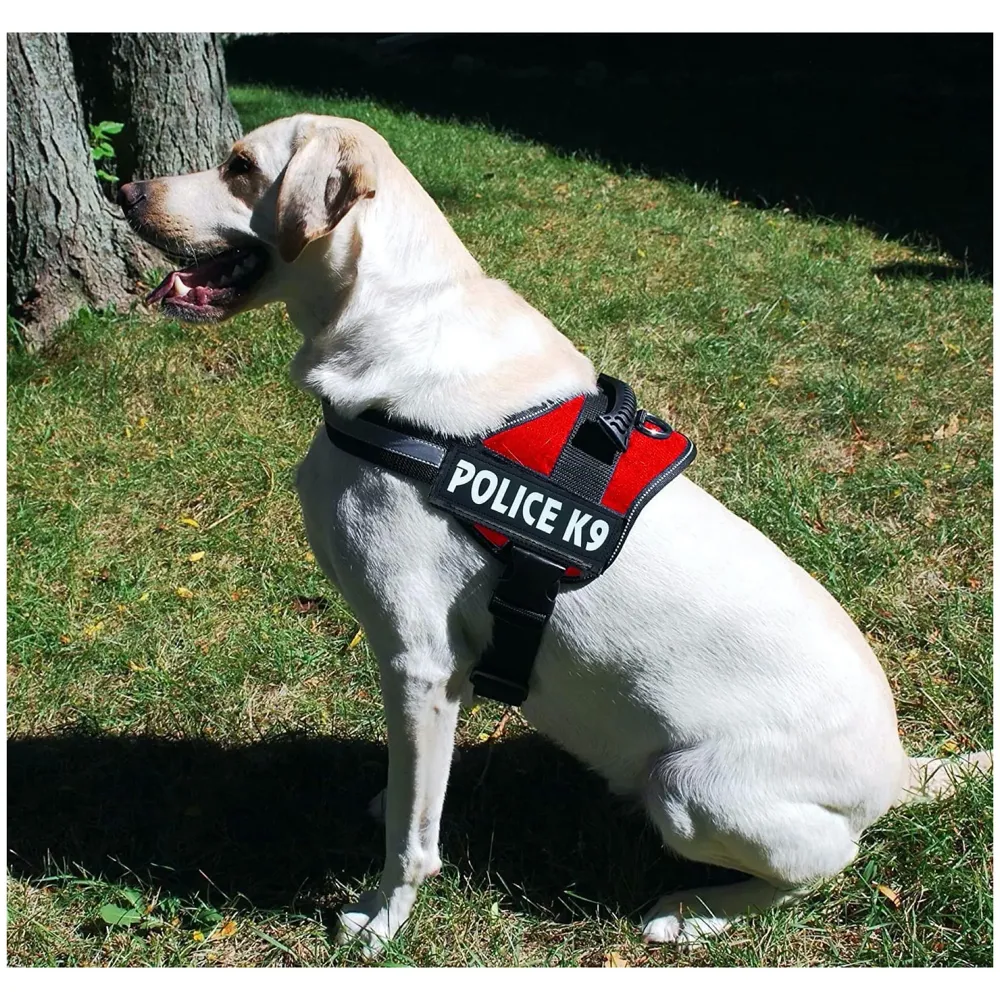 Dog K9 Police Harness Dog Vest with Hook and Loop Straps and Handle and Adjustable (Large - 28-34 Inch Girth, Red)