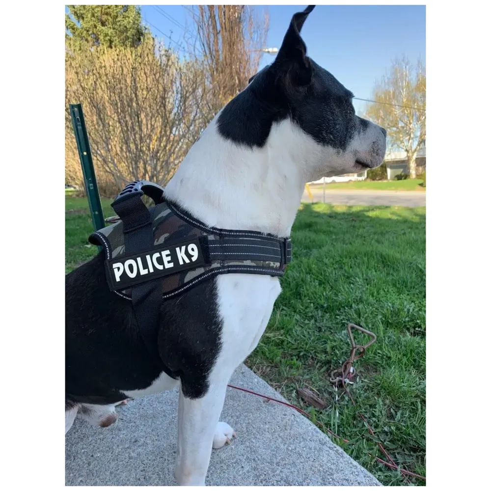 Dog K9 Police Harness Dog Vest Loop Straps and Handle and Adjustable (Camouflage, Large -28-34 Inch Girth)