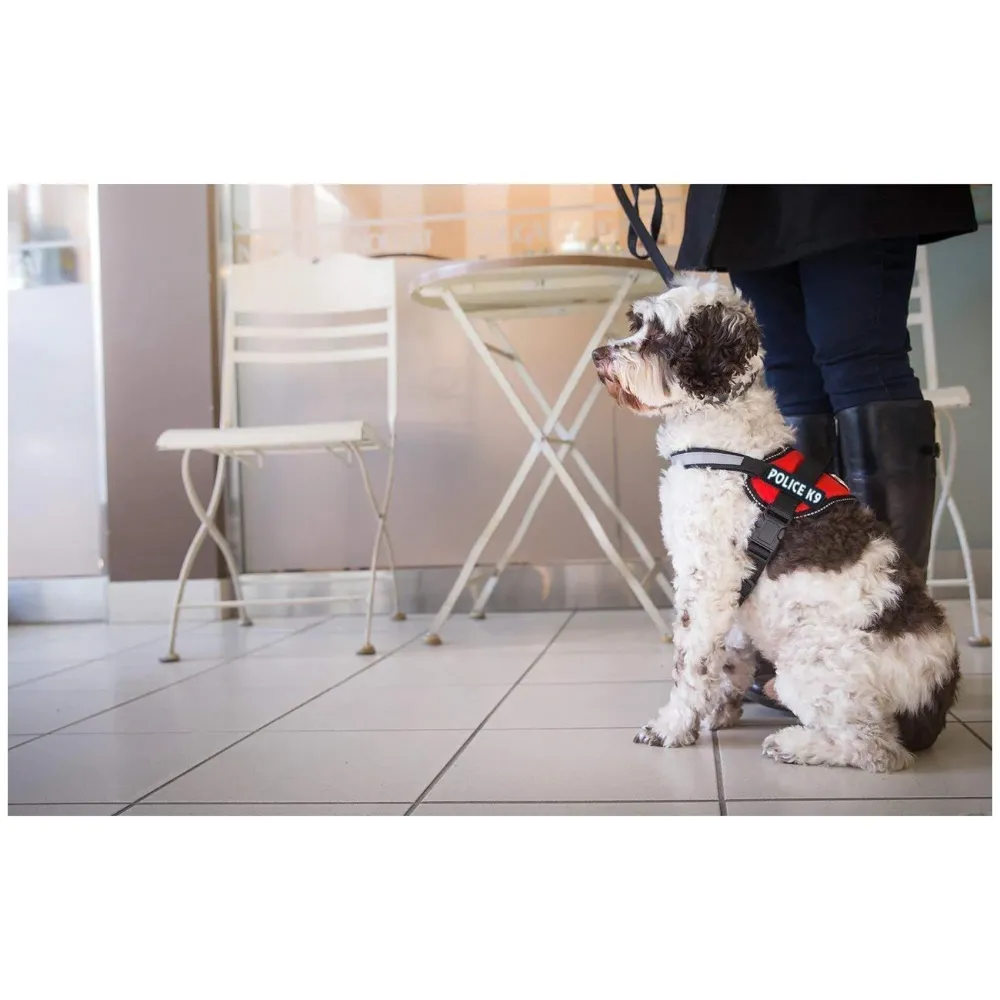 Dog K9 Police Dog Vest with Hook and Loop Straps and Handle and Adjustable (XL2, Black)