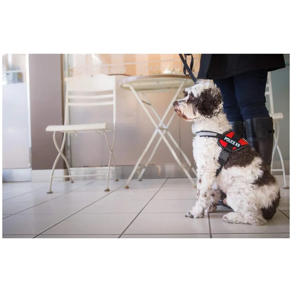 Dog K9 Police Dog Harness Vest with Hook and Loop Straps and Handle and Adjustable (M- 22-28 Inch Girth, Black)