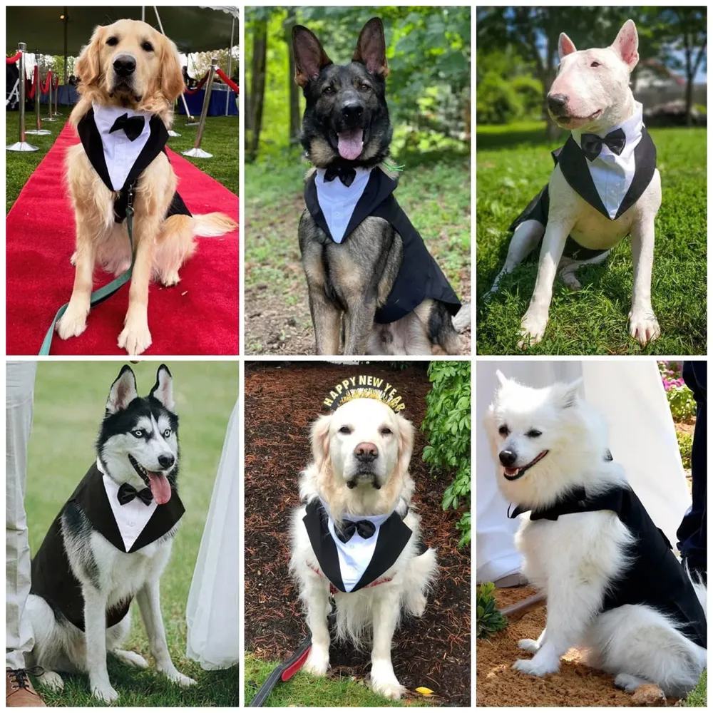 Dog Suit or Dog Tuxedo & Bandana Set, Dogs Wedding Party Suit, Dog Wedding Bow Tie Shirt Formal Dog Weeding Attire for Large & Medium Dogs