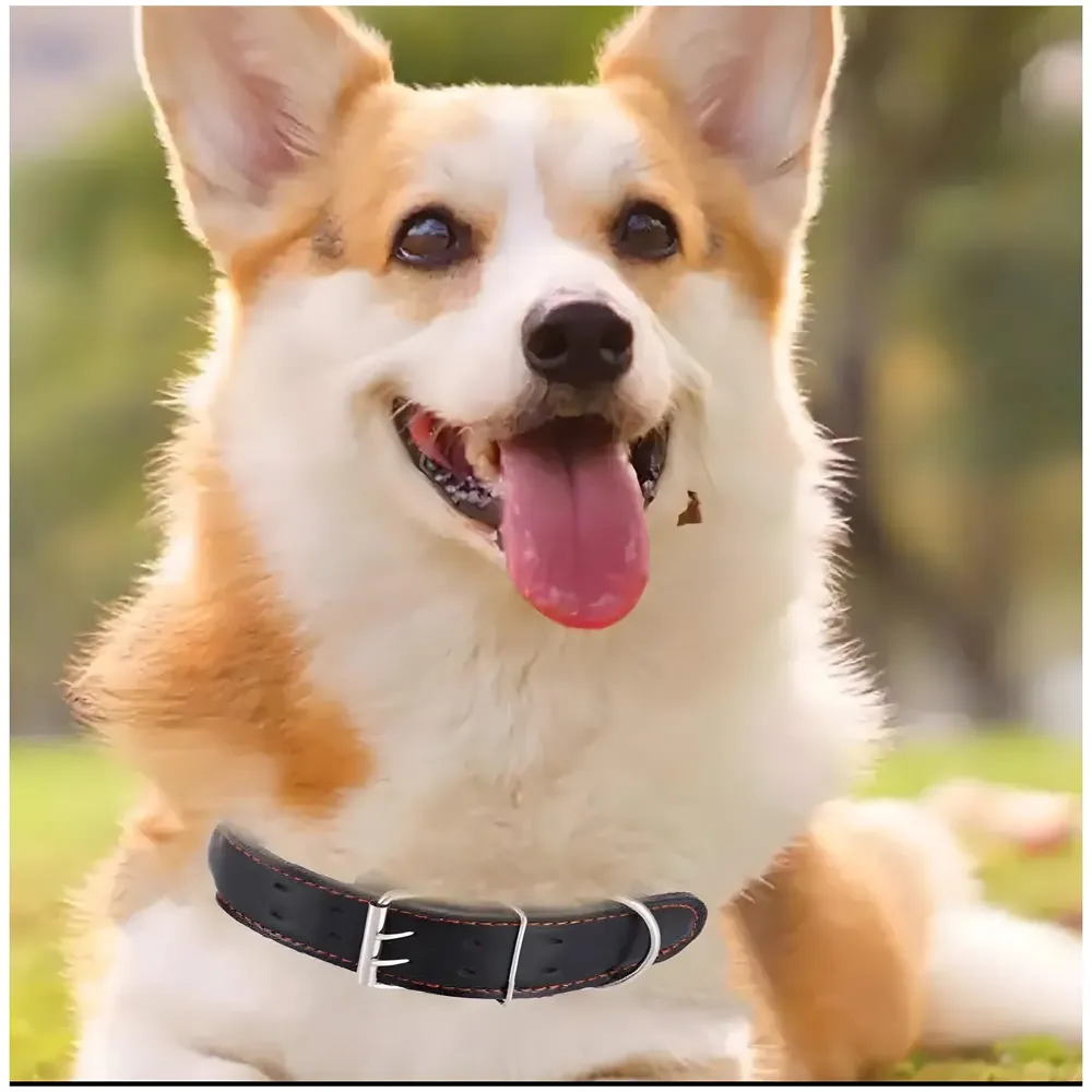 Black Dog Collar and Leash Combo Adjustable Dog Belt for Labradors, Golden Retriever, German Shepherd, Soft Handle Faux Leather, Black 48-58cm Collar / 140cm Leash - 8