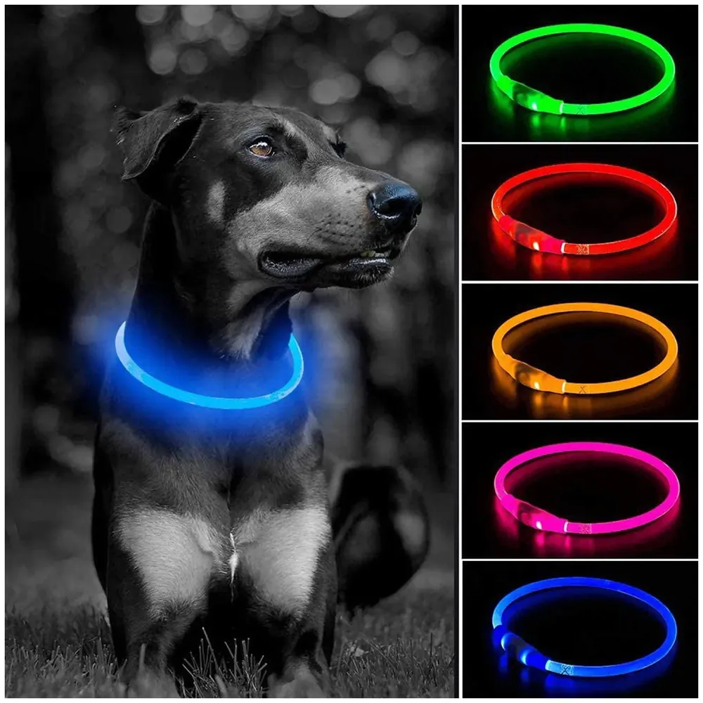 LED Dog Collar, USB Rechargeable LED Optical Fibre Collar Flashing Dog Collar DIY Light Up Necklaces Ensuring Safety for Night Walking 70-20 Cm (Blue)