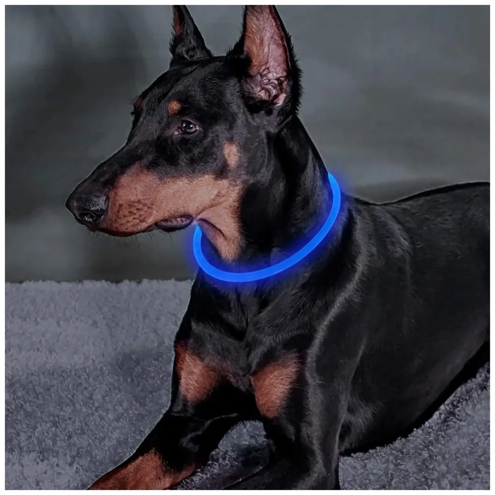 LED Dog Collar, USB Rechargeable LED Optical Fibre Collar Flashing Dog Collar DIY Light Up Necklaces Ensuring Safety for Night Walking 70-20 Cm (Blue)