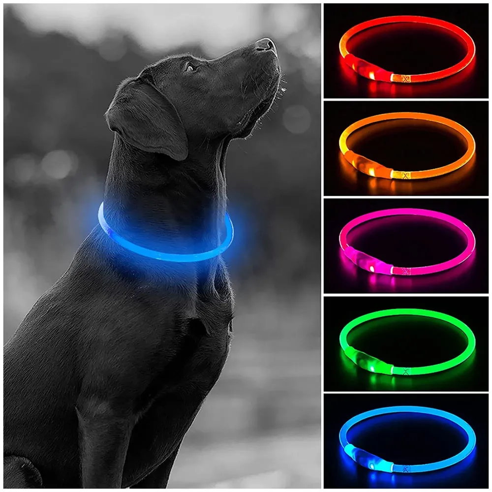 LED Dog Collar, USB Rechargeable LED Optical Fibre Collar Flashing Dog Collar DIY Light Up Necklaces Ensuring Safety for Night Walking 70-20 Cm (Blue)