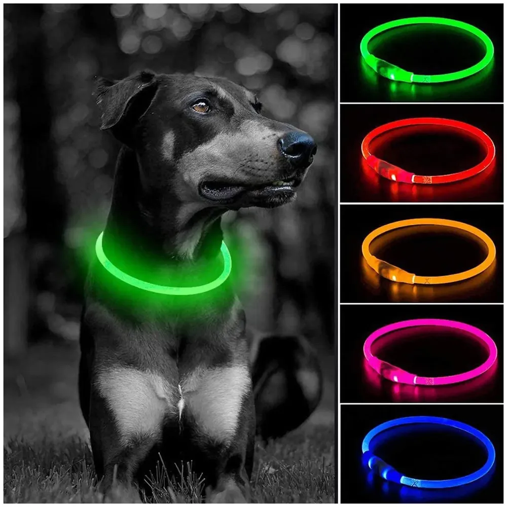 LED Dog Collar, USB Rechargeable LED Optical Fibre Collar Flashing Dog Collar DIY Light Up Necklaces Ensuring Safety for Night Walking 70-20 Cm (Green)