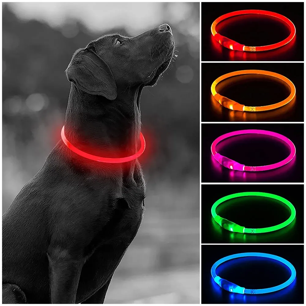 LED Dog Collar, USB Rechargeable LED Optical Fibre Collar Flashing Dog Collar DIY Light Up Necklaces Ensuring Safety for Night Walking 70-20 Cm (Red)