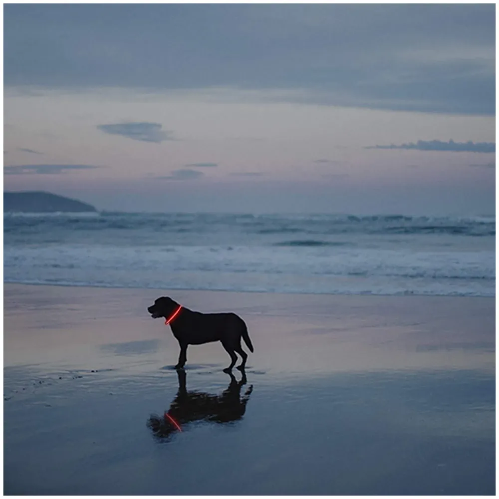 LED Dog Collar, USB Rechargeable LED Optical Fibre Collar Flashing Dog Collar DIY Light Up Necklaces Ensuring Safety for Night Walking 70-20 Cm (Red) - 3