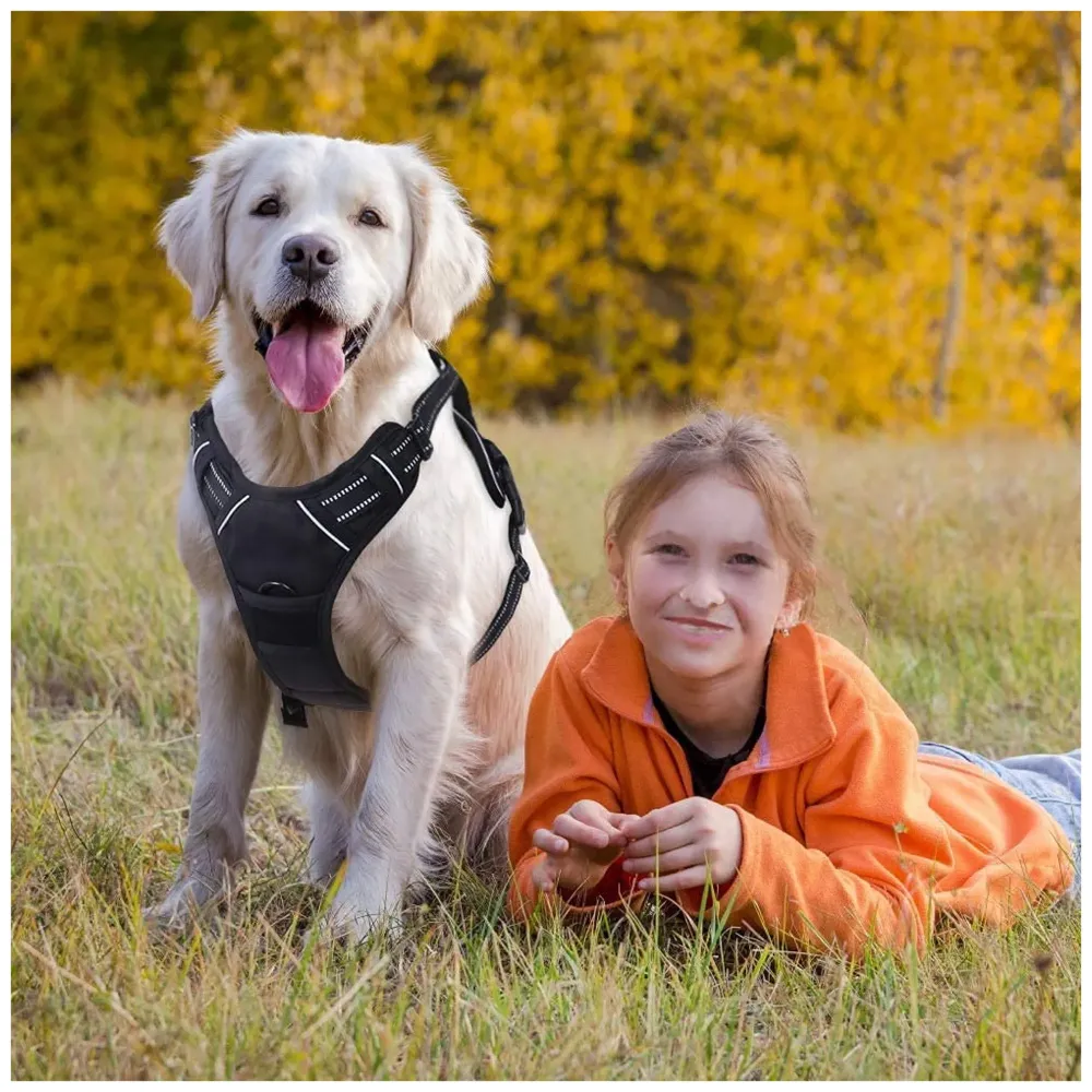 No Pull Dog Harness Mesh Breathable Adjustable Reflective Oxford Easy Control Comfortable Harness. (Black, Large (18-26 Inch Girth)) - 8