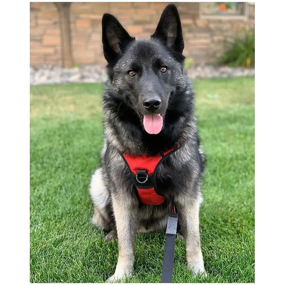 Red No Pull Dog Harness Mesh Breathable Adjustable Reflective Oxford Easy Control Comfortable Harness. Red Large 18-26 Inch Girth - 8