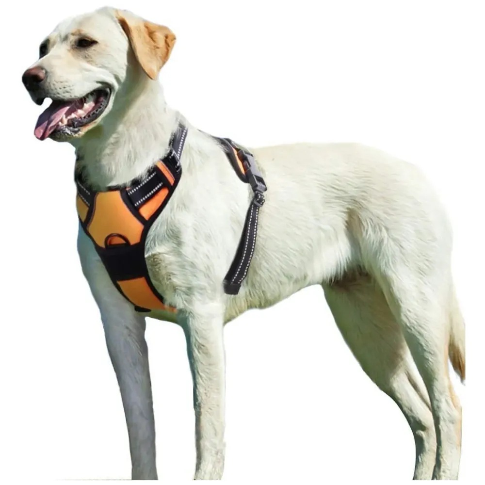 Orange No Pull Dog Harness Mesh Breathable Adjustable Reflective Oxford Easy Control Comfortable Harness. Large 18-26 Inch Girth