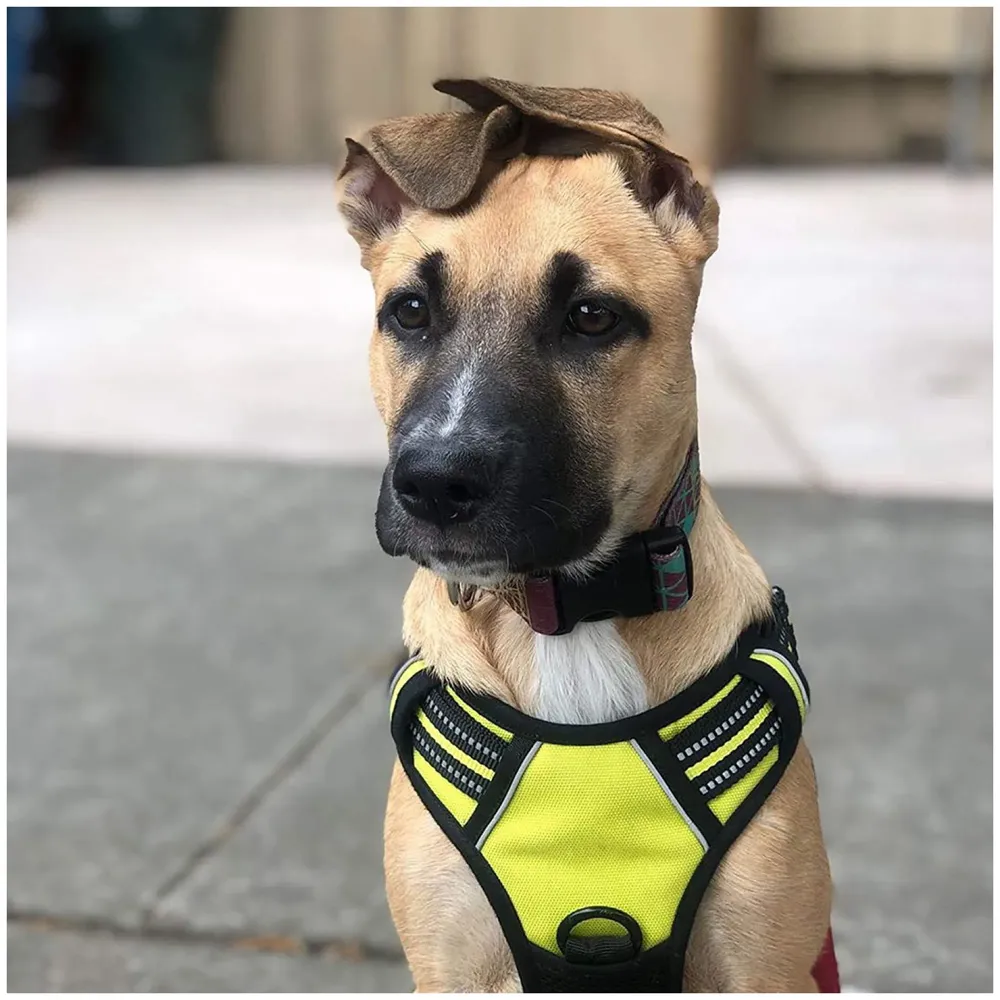 Green No Pull Dog Harness Mesh Breathable Adjustable Reflective Oxford Easy Control Comfortable Harness. Large 18-26 Inch Girth - 7