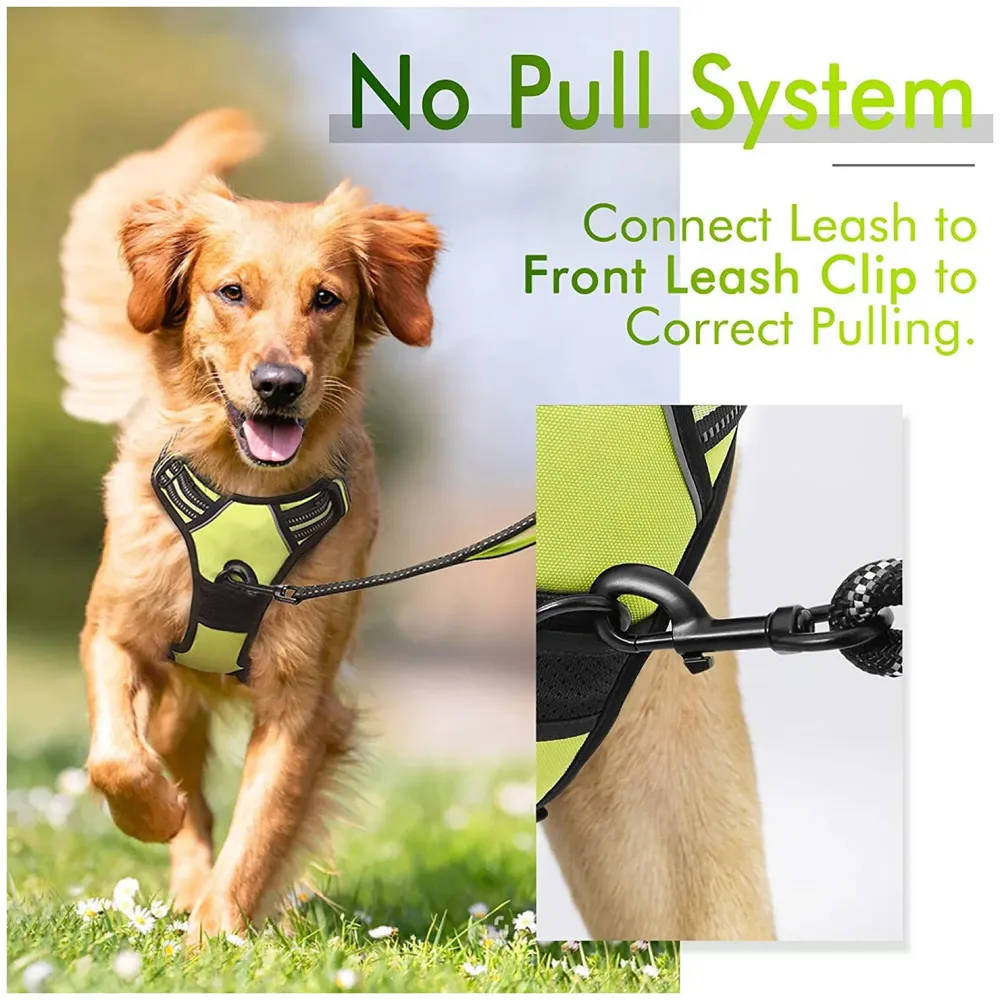 Harness and Leash Combo Green Dog Harness Mesh Breathable Adjustable Reflective Oxford Comfortable Harness. Large Dogs Like Labrador and Golden Retriever