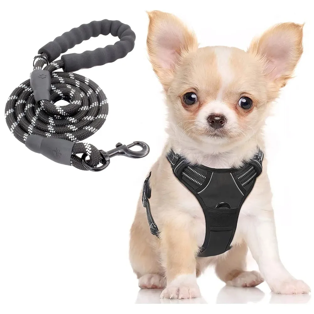 Harness and Leash Combo No Pull Dog Harness Mesh Breathable Adjustable Reflective Oxford Easy Control Comfortable Harness. (Small (13-18 Inch Girth))