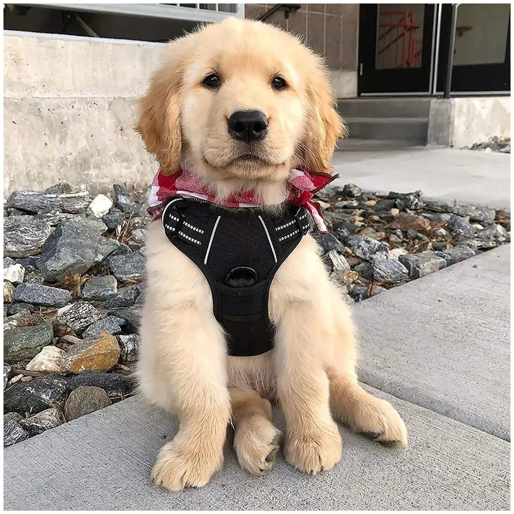 Harness and Leash Combo No Pull Dog Harness Mesh Breathable Adjustable Reflective Oxford Easy Control Comfortable Harness. (Small (13-18 Inch Girth))